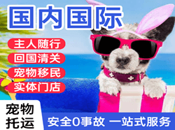 盐城南洋空运代理国际宠物托运 【国